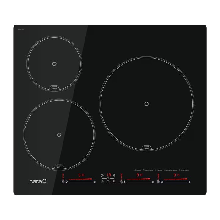 PLACA VITRO IBS6303E2 (CATA)